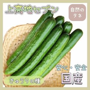 【国内育成・採取】 上高地セブン 家庭菜園 種 タネ きゅうり 野菜 胡瓜