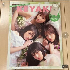 KEYAKI～2018 Summer ツアーメモリアルBOOK～