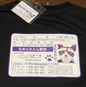 【Lサイズ】新品 なめんなよ なめ猫 又吉 みけ子 免許証 Tシャツ ビッグシルエット BIG-T タグ付き/昭和 レトロ 免許証付き a