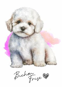 ポストカード【 Bichon Frise / ビション・フリーゼ 】イラスト アート 水彩画風 パステルカラー はがき -1