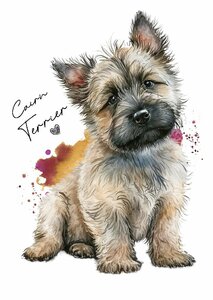 ポストカード【 Cairn Terrier / ケアーン・テリア 】イラスト アート 水彩画風 パステルカラー はがき -1
