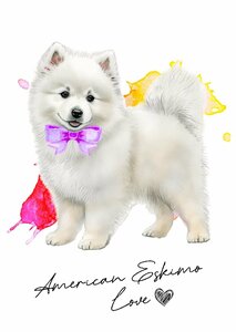 ポストカード【 American Eskimo /アメリカン・エスキモー・ドッグ 】イラスト アート 水彩画風 パステルカラー はがき -1