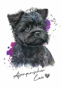 ポストカード【 affenpinscher / アーフェン・ピンシャー 】イラスト アート 水彩画風 パステルカラー はがき -1