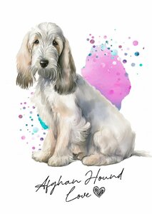 ポストカード【 Afghan Hound / アフガン・ハウンド 】イラスト アート 水彩画風 パステルカラー はがき -2