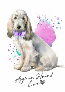 ポストカード【 Afghan Hound / アフガン・ハウンド 】イラスト アート 水彩画風 パステルカラー はがき -3