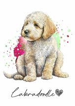 ポストカード【 Labradoodle / ラブラドゥードル 】イラスト アート 水彩画風 パステルカラー はがき -1_画像1