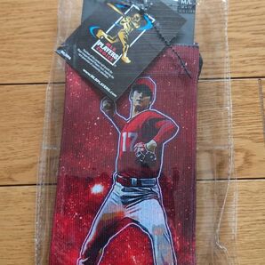 大谷翔平 ソックス