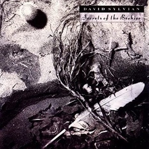 デイヴィッド・シルヴィアン　David Sylvian　シークレッツ・オブ・ザ・ビーハイヴ　SECRETS OF THE BEEHIVE　国内盤CD　坂本龍一　Japan