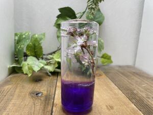 水中花シフトノブ　円柱M型　お花見　桜　紫