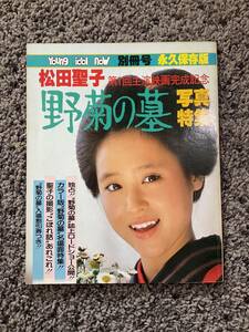 問題あり YoUng idol now 別冊号 永久保存版 松田聖子 第1回主演映画完成記念 野菊の墓 写真特集 昭和56年8月25日発行 ケイブンシャ