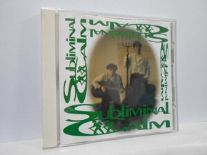 Subliminal Calm CD 藤原ヒロシ Hiroshi Fujiwara いとうせいこう