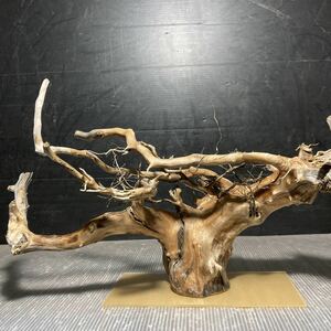 *sea tree* free shipping! Acrylic plate construction ending driftwood 133 driftwood / aquarium / aquarium / terrarium / interior /ADA/ coral / ornament /