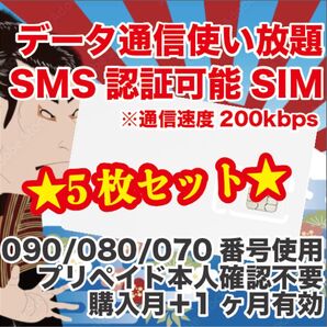 5枚セット プリペイドSIM データ使い放題 SMS受信 通信速度200kbps
