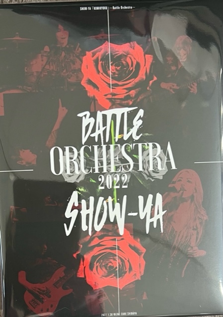 超安い品質 新品4CD+4DVD SHOW-YA BIG 30-THE BOX- ショーヤ