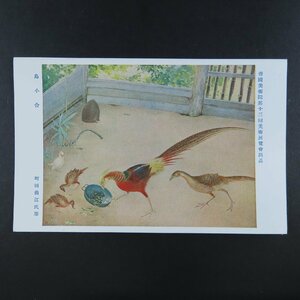 【絵葉書2002】帝国美術院第13回美術展覧会出品 鳥小舎 町田曲江氏筆 美術 アート 画 絵 / 戦前絵はがき 古写真 郷土資料