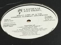 Wally Jump Jr. & The Criminal Element Orchestra - Tighten Up_画像3