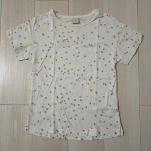 ■ZARA GIRLS■ザラ ゴールドのドット柄白Ｔシャツ9/10 140■