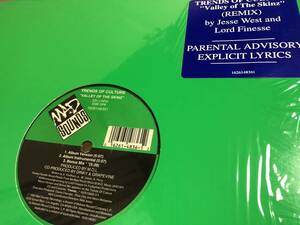 TRENDS OF CULTURE VALLEY OF THE SKINZ REMIX 12” Lord Finesse US盤 オリジナル