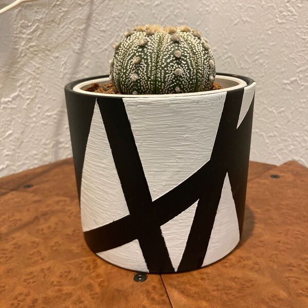 リメイク鉢 植木鉢 プランター 観葉植物