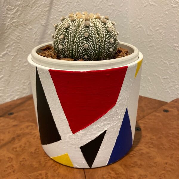 リメイク鉢 植木鉢 プランター 観葉植物 モンドリアン