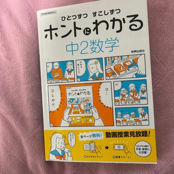 ひとつずつ少しずつホントにわかる中2数学