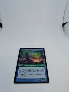 MTG 【日本語】【Foil】《潮刻みの神秘家/Tideshaper Mystic》[LRW] 青C