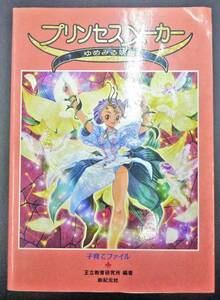 ◆PS・プリンセスメーカー～ゆめみる妖精～・攻略本◆H/434