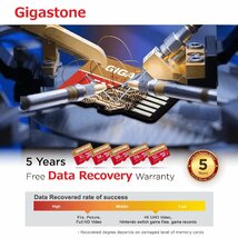 送料無料★Gigastone256GBイクロSDカード A2 V30 Ultra HD 4K SDXC UHS-I U3 C10_画像6