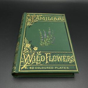 ◆1巻～5巻セット◆ 1880年頃 Familiar Wild Flowers エドワード・ヒューム著 Cassell & Co ロンドン発行 洋書 アンティークの画像5