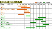 花粉症にこれ1本！　花粉・アレルギー・抗ウイルス・抗菌・消臭 に【特許取得成分配合】何にでも使える『花粉やっつけ隊』送料無料_画像2