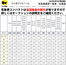 ( 希少品 ) コンパイルクラブ 53号 会報誌 1995年7月 コンクラ ぷよぷよ 魔導物語 配送はネコポス250円予定_画像5