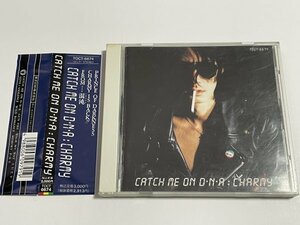 CD CHARMY『CATCH ME ON D・N・A』(CATCH ME ON D.N.A ラフィンノーズ LAUGHIN’ NOSE)