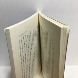 j1/心のいやし ヴァーノン・J・ビットナー 佐藤是伸訳 ディアコニアセンター ゆうメール送料180円の画像4