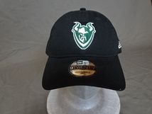 ★USA購入 ニューエラ【NEWERA】【9TWENTY】USカレッジ ポートランド州立大学バイキングス【PORTLAND STATE VIKINGS】ロゴ刺繍入りキャップ_画像1