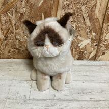 タグ付き　ガンド　グランピーキャット　ぬいぐるみ　ネコ　GUND Grumpy Cat 猫　可愛い　佐川急便対応のみ_画像1