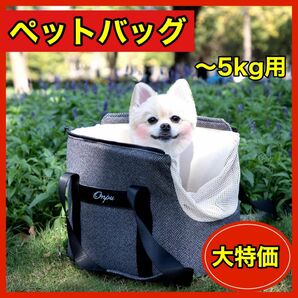 キャリーバッグ　ペットバッグ　猫　小型犬　散歩　旅行　通院