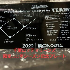 【新品未開封】千葉ロッテマリーンズTEAM26会員限定2022年シーズン記念プレート