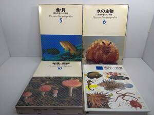 学研 原色学習ワイド図鑑 　5. 魚・貝 6. 水の生物 10. 海藻・菌類 続巻 海洋の世界 4冊セット ※ケースにヤケあり ※バラ売り不可