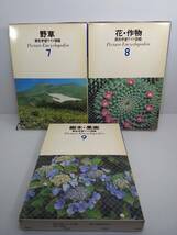 学研 原色学習ワイド図鑑 7. 野草 8. 花・作物 9. 樹木・果実 3冊セット ※ケースにヤケあり ※バラ売り不可_画像1