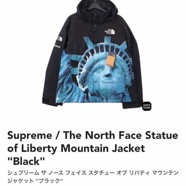 Supreme / The North Face Statue of Liberty Mountain Jacket "Black