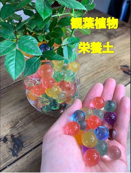 SNS映え!植物用保水ビーズ7色 観葉植物 ガーデニング土 癒し