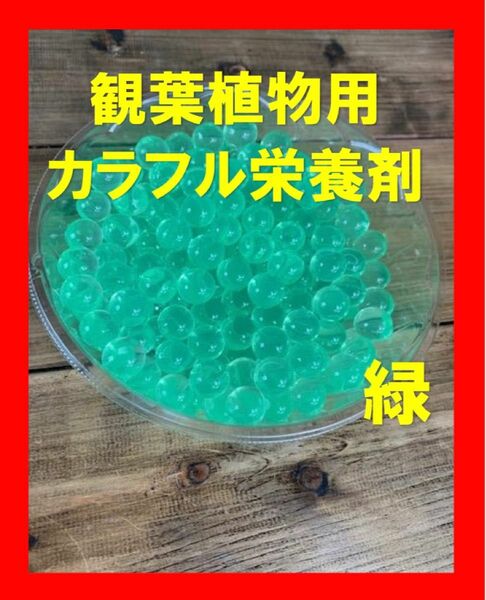 観葉植物　カラフル栄養剤　ガーデニング土　緑ビーズ5g