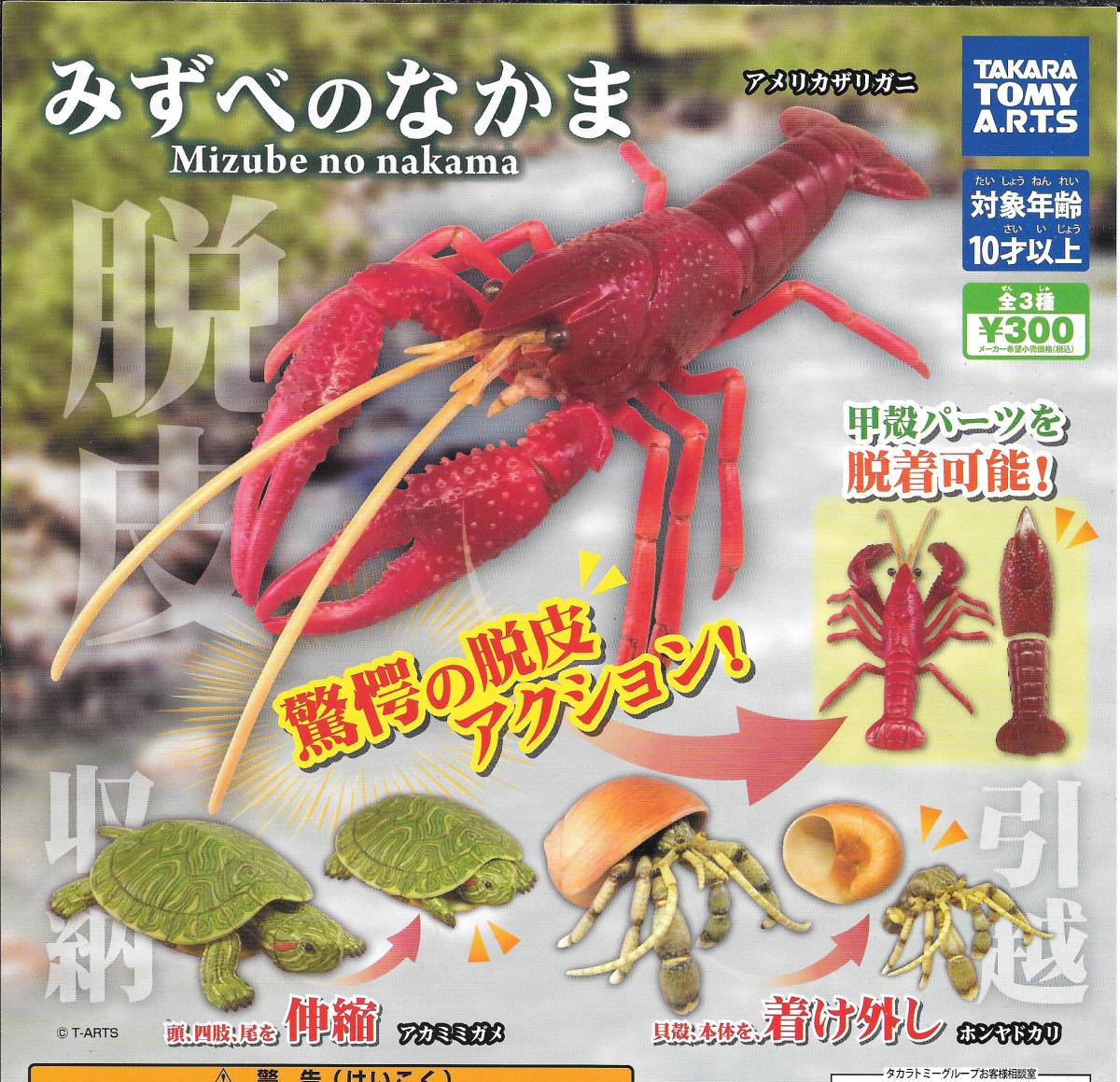 年最新ヤフオク!  アカミミガメの中古品・新品・未使用品一覧