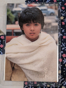 薬師丸ひろ子　ラミネートカード　ブロマイド　オフィシャルグッズ　TK-106　 1980年代　