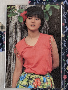  Yakushimaru Hiroko laminate card photograph of a star official goods TK-107 1980 period 