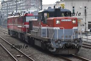 【鉄道写真】DE10 1576牽引　EH800甲種輸送　＠西国分寺　L版　(商品番号230)