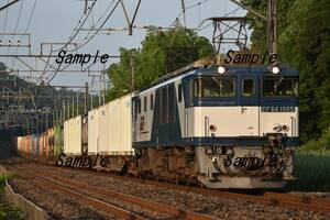 【鉄道写真】EF64 1005牽引　鹿島貨物 1095レ　＠四街道～物井　L版　(商品番号289)