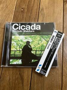 槇原敬之 CICADA シカーダ　中古CD