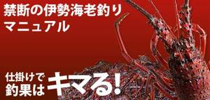 ☆爆釣！伊勢海老釣り 仕掛け３０個＆アドバイス！お得セット☆