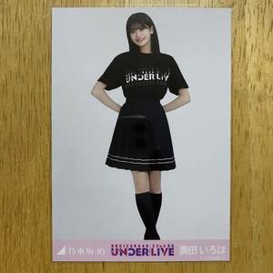 乃木坂46 奥田いろは 32ndアンダーライブTシャツ 生写真 ヒキ 1枚 検) 会場 限定